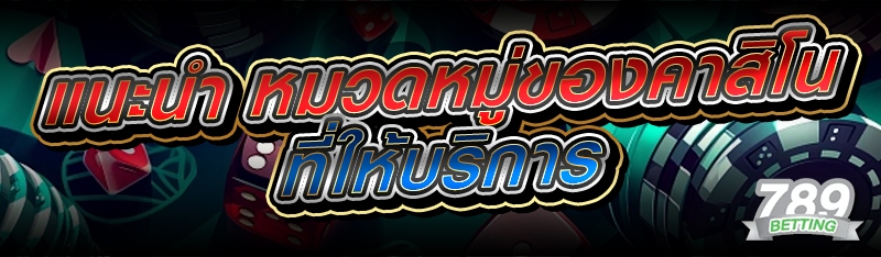 แนะนำ หมวดหมู่ของคาสิโน ที่ให้บริการ