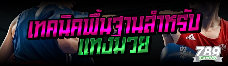 เทคนิคพื้นฐานสำหรับแทงมวย