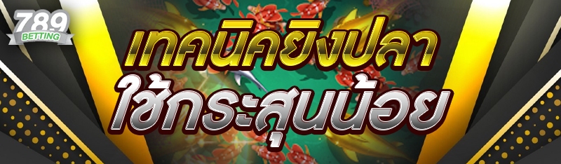 เทคนิคยิงปลาใช้กระสุนน้อย