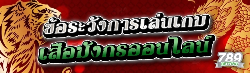 ข้อระวังการเล่นเกมเสือมังกรออนไลน์
